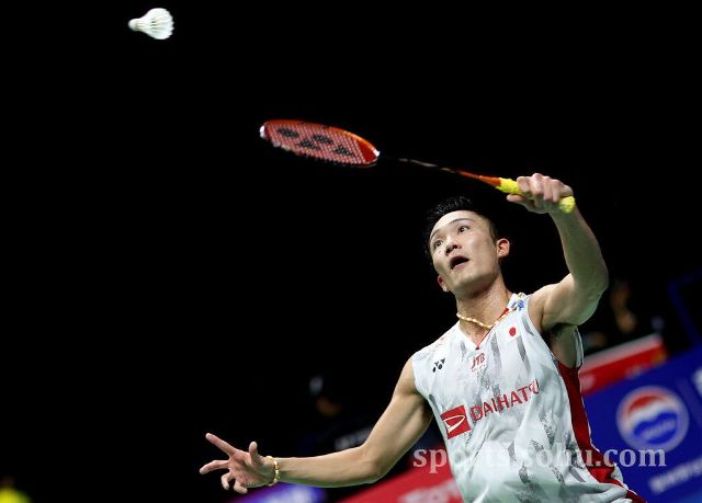 球场上展现 球场上展现